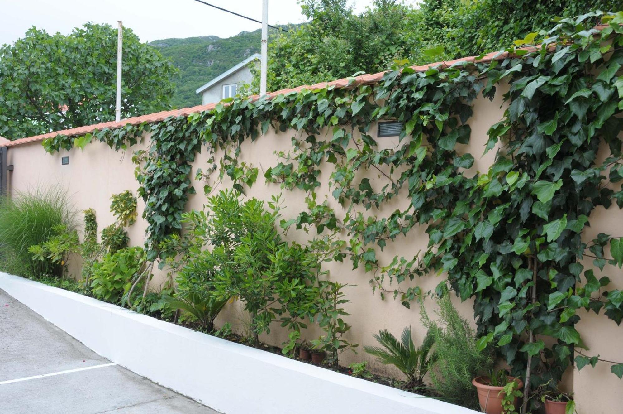 Apartments Royal Budva Ngoại thất bức ảnh